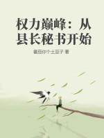 权力巅峰：从县长秘书开始