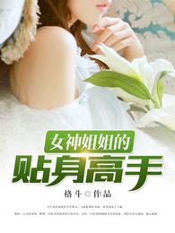 女神姐姐的贴身高手